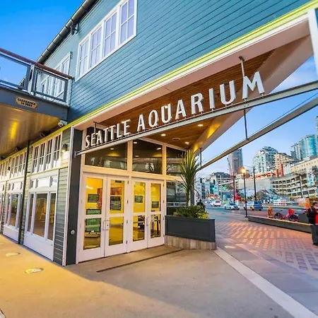 Quinn'S Sweet Suite - Micro Studio - 91Walkscore Seattle Exterior photo